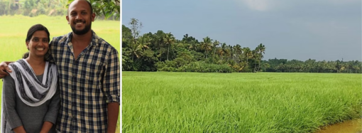 Kerala Couple Quits Jobs to Grow 7 Traditional Rice Varieties
