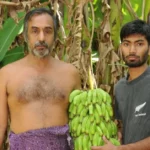 63-year-old earns Rs 1 lakh/month with 500 free banana varieties.
