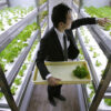 Japan’s Urban Farming Revolution: Cultivating a Sustainable Future