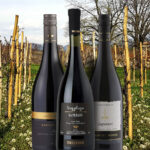 Ensuring Excellence: Georgia’s National Wine Agency’s Commitment to Quality Control