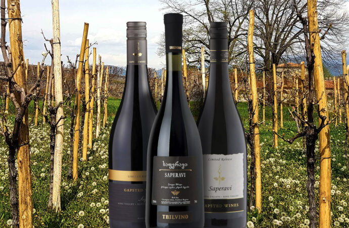 Ensuring Excellence: Georgia’s National Wine Agency’s Commitment to Quality Control