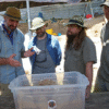 Oldest 1.8M-Year-Old Human Jawbone Found in Georgia